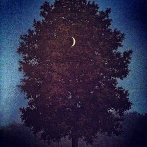 Meet your Posher, Dyame